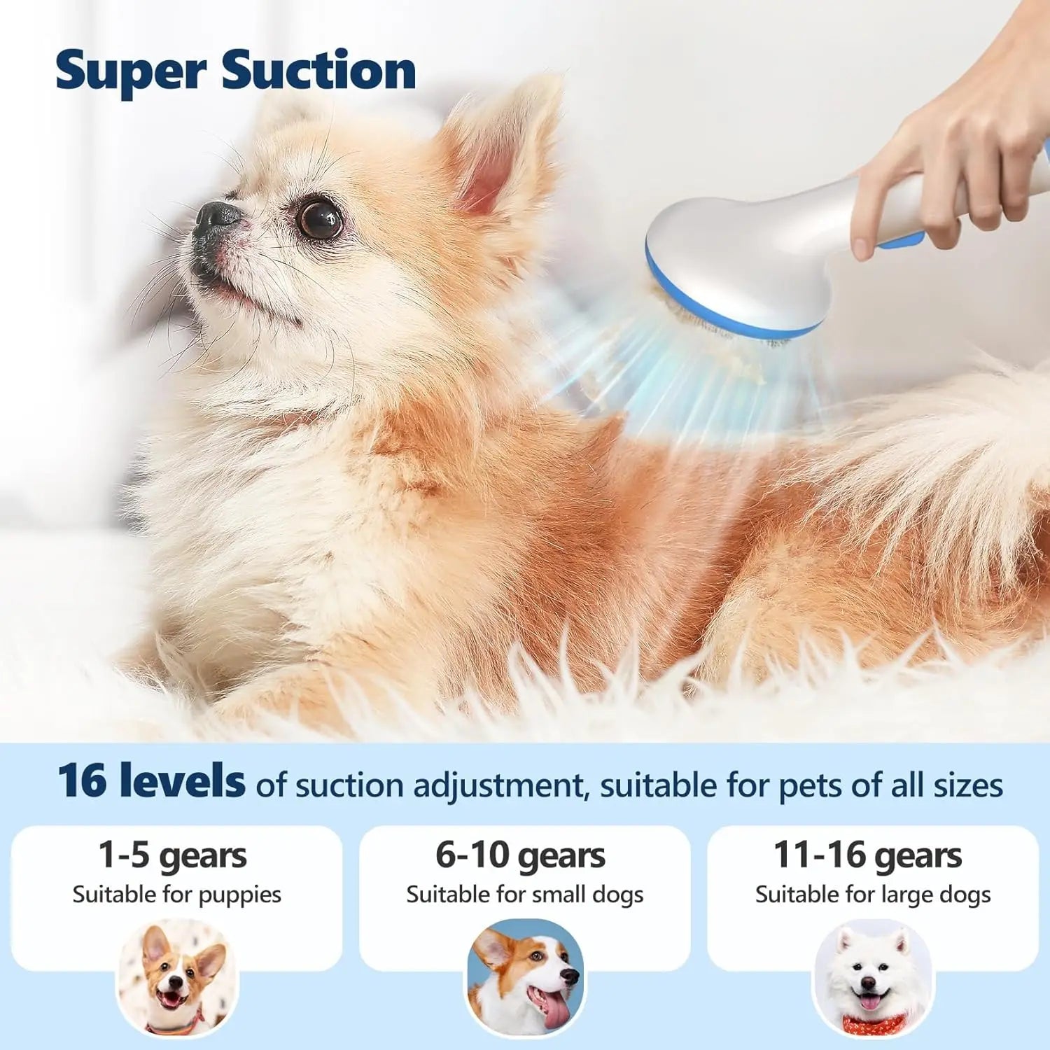 Quiet 5-in-1 Pet Grooming Vacuum